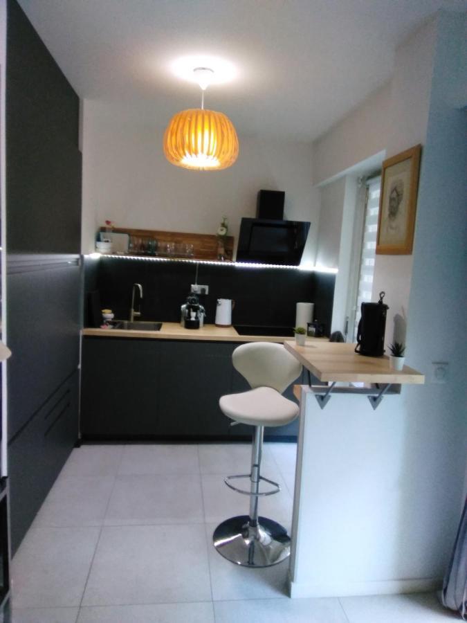 Nice- Gairaut - Jardin Prive- Grand F1 Lumineux-piscine Collective Appartement *